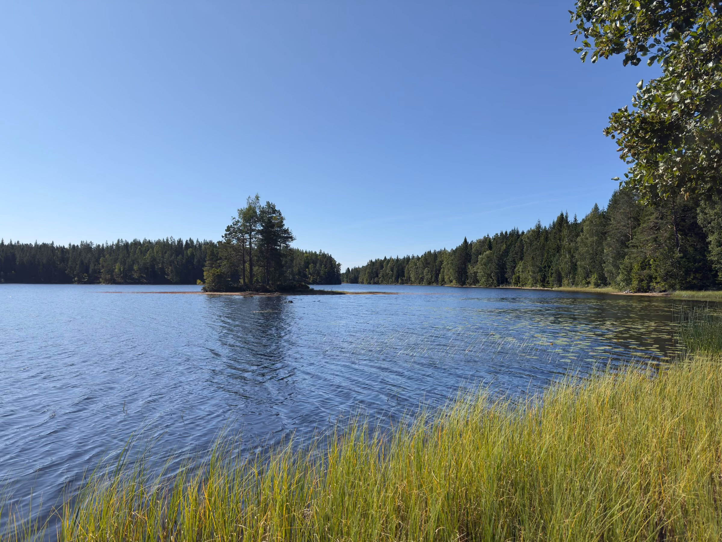 Kleine bewaldete Insel in einem stillen See