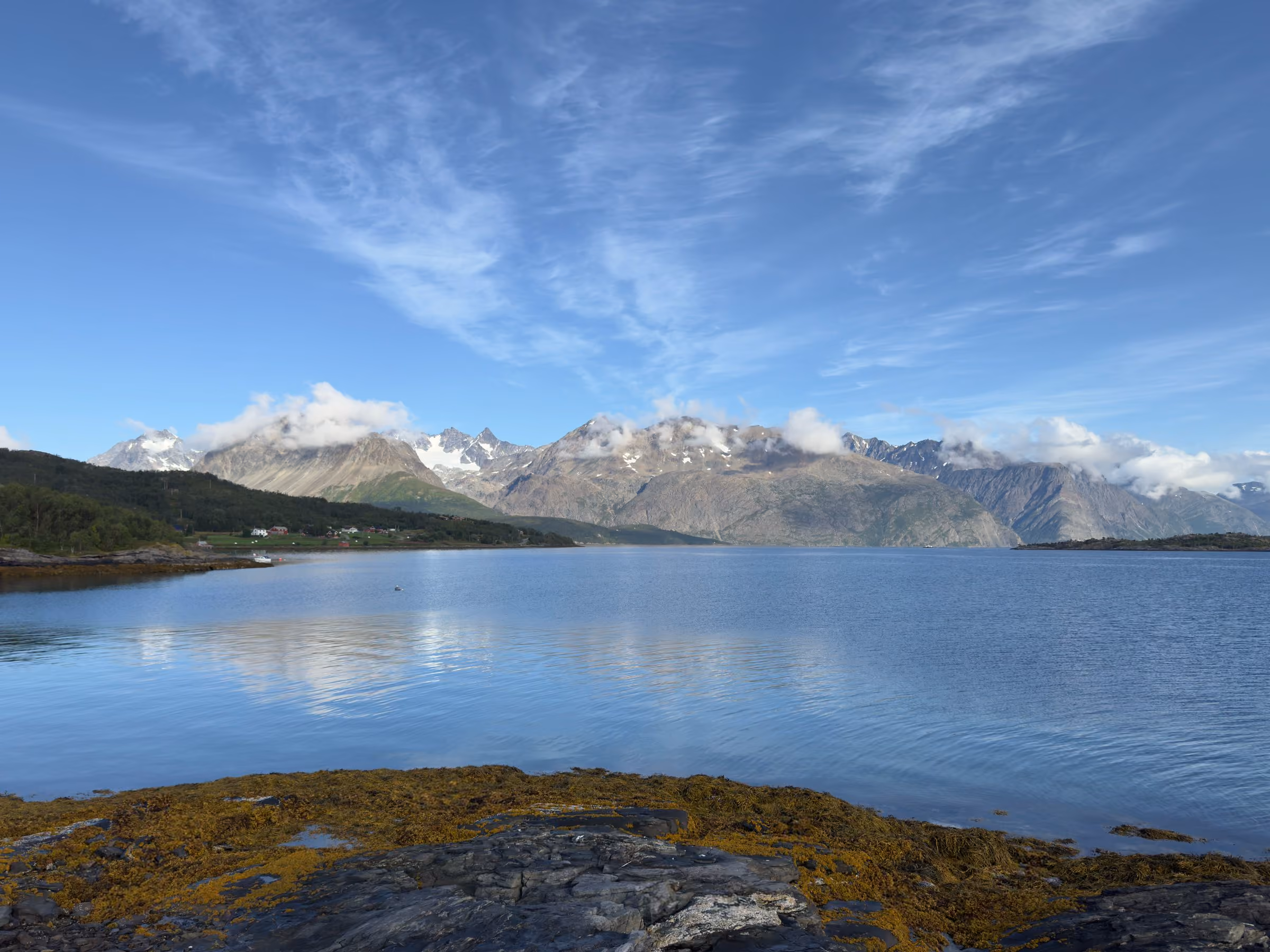 Die Lyngenalpen mit Wolkenkränzen über dem stillen Fjord, im Vordergrund Tang auf dem Fels